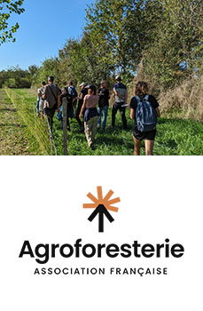 Agroforesterie