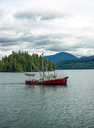 Saumons et colins : pêche en eaux froides en Alaska