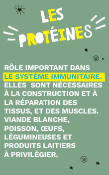 Prot&eacute;ines: elles n&eacute;cessaires &agrave; la construction et &agrave; la r&eacute;paration des tissus, et des muscles. Elles jouent &eacute;galement un r&ocirc;le important dans le syst&egrave;me immunitaire.