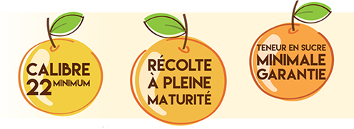 calibre mirabelle recolte teneur en sucres.pn
