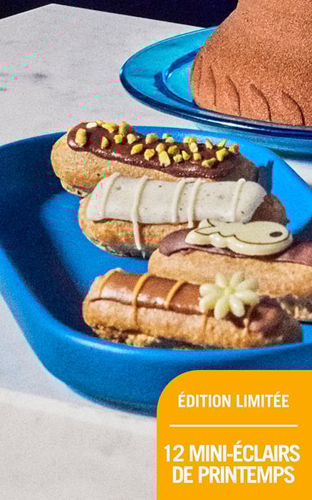 12 mini eclairs de printemps