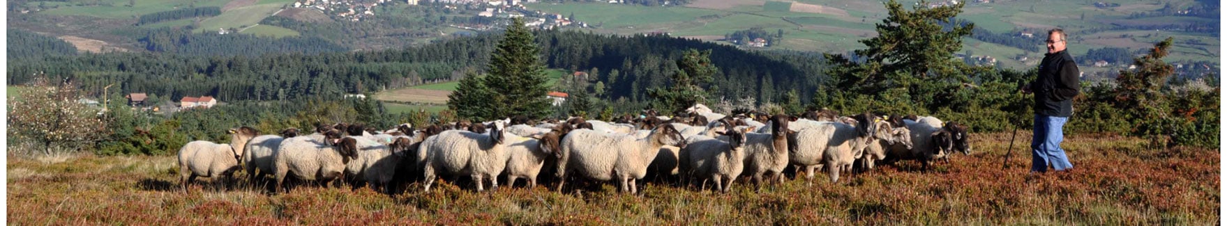 Picard soutient les producteurs français