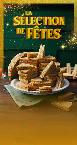 Banni&egrave;re pr&eacute;sentant la s&eacute;lection des produits festifs en promotion pour les f&ecirc;tes