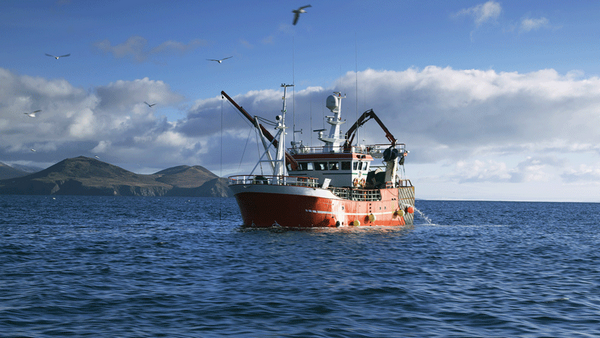 bateau pêche