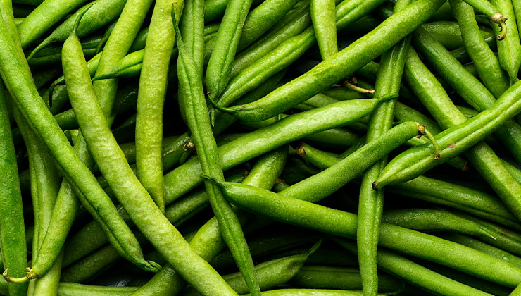 Mieux produire pour mieux se nourrir