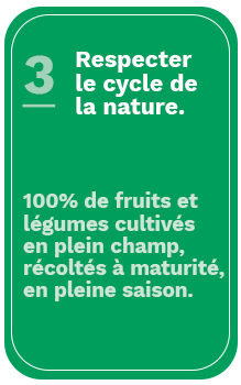 legumes-fruits-saison