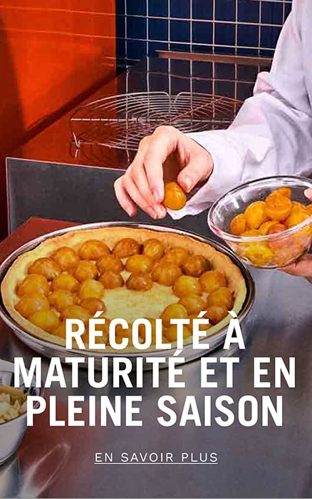 l&eacute;gumes et fruits r&eacute;colt&eacute;s &agrave; maturit&eacute; et en pleine saison