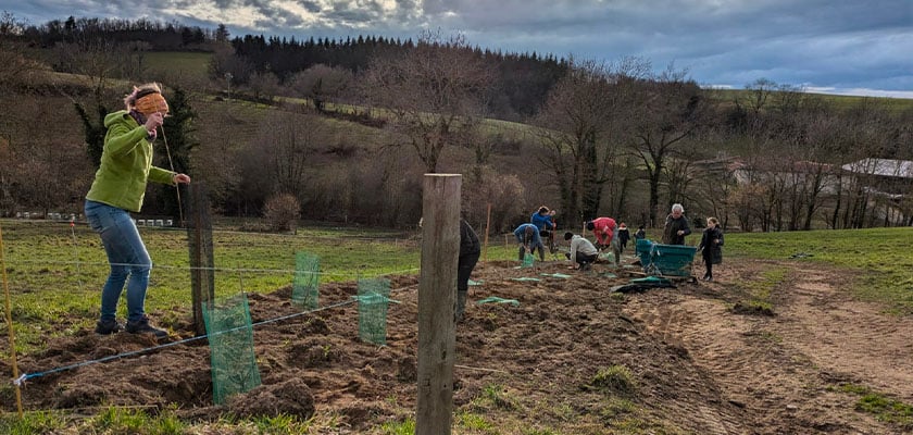 Association Fran&ccedil;aise de l'Agroforesterie 