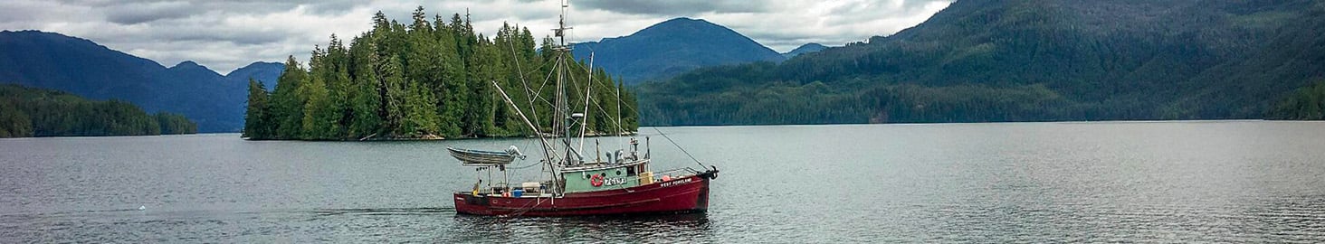 Saumons et colins : pêche en eaux froides en Alaska