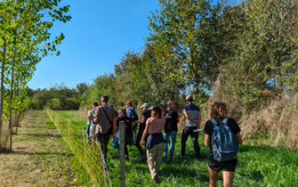 Association Française de l'Agroforesterie