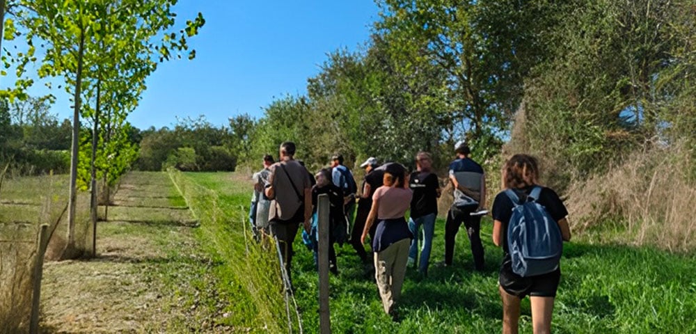 Association Française de l'Agroforesterie 
