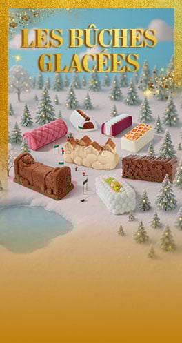 Banni&egrave;re pr&eacute;sentant la s&eacute;lection de b&ucirc;ches de No&euml;l glac&eacute;es