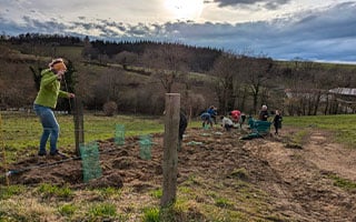 Association Fran&ccedil;aise de l'Agroforesterie 