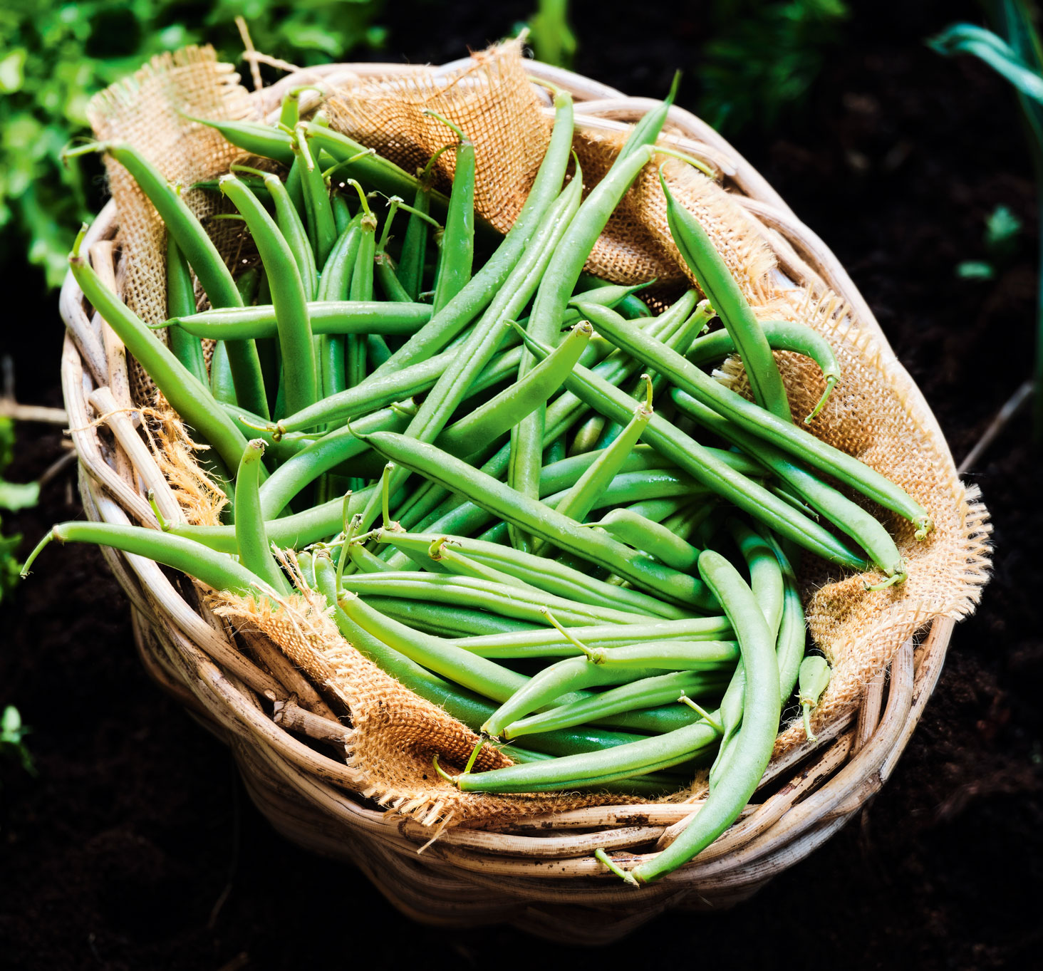 Bio et cultivés près de chez vous, Picard fait le pari du bio local équitable