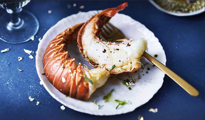 La Langouste Blanche Des Caraibes Un Tresor A Portee De Main