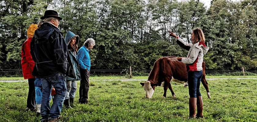 Ecole française d’agroforesterie