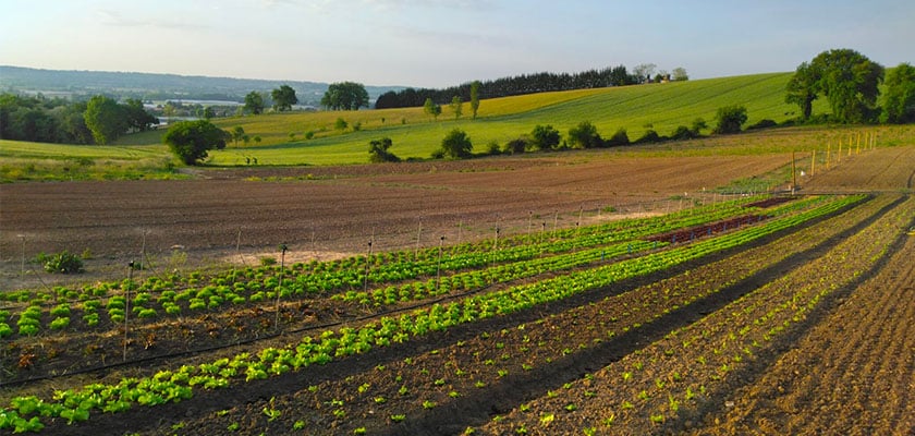L'association La ferme de Nello 
