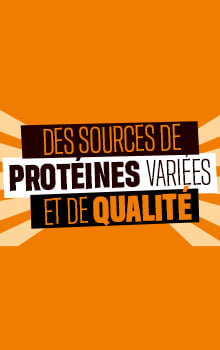 Sources de prot&eacute;ines vari&eacute;es et de qualit&eacute;