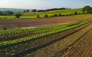 L'association La ferme de Nello 
