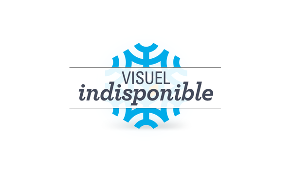 G&acirc;teaux de no&euml;l au chocolat moelleux